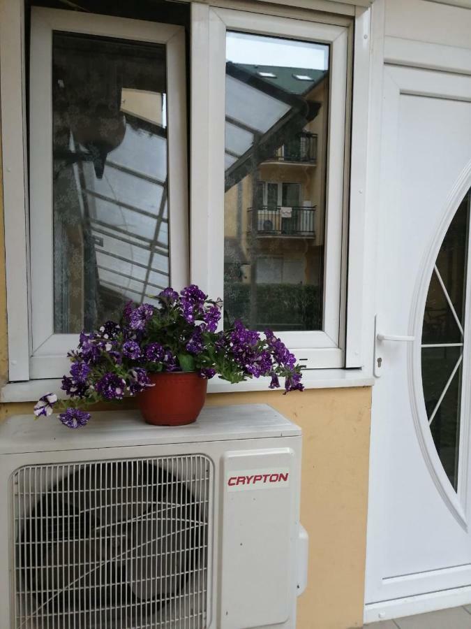 Apartman "Garden" With Underground Parking Novi Sad Exteriér fotografie